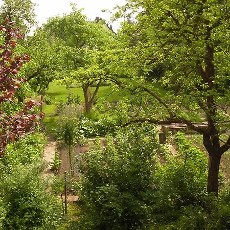 An Der Birke لمغو